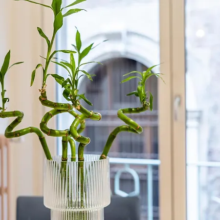 Casta Diva - Maison D'hote * ヴェローナ